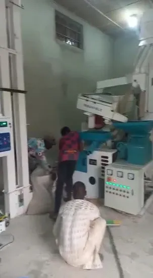 20 Tons Combined Rice Mill Machine Rice Processing Machine Rice Milling Machine