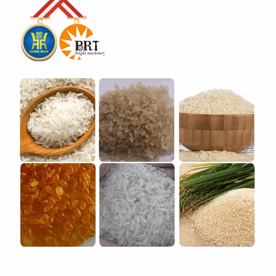 Stainless Steel Extrusion Nutritional Processing Making Artificial Rice Machine
