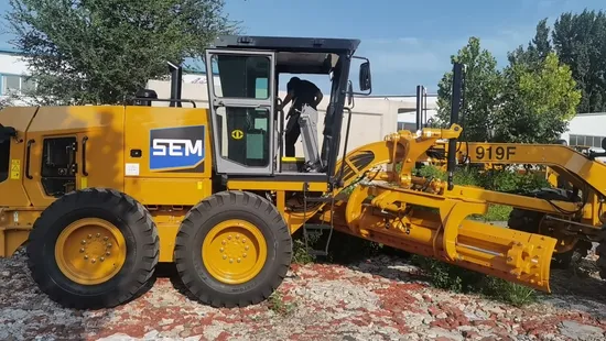 Widely Used Motor Rice Grader Price with Muti