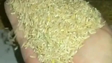 New Procuct Mlgq25D High Husking Rate Pneumatic Rice Paddy Husker 