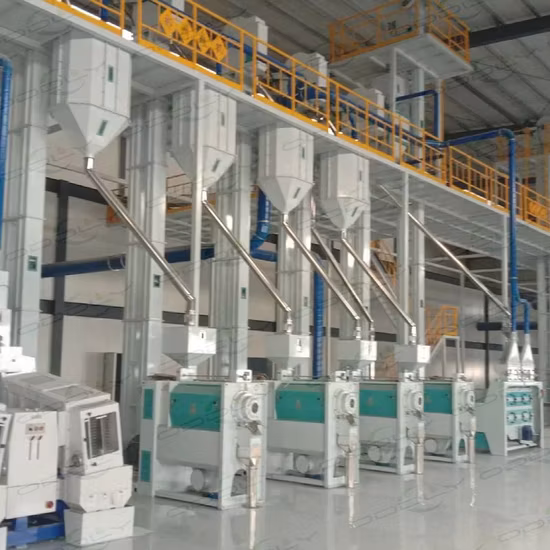 Mgcz Double Body Paddy Separator