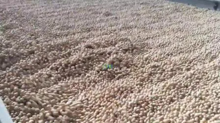 Wheat Seed Cleaning Machine Paddy Rice Seed Gravity Separator 